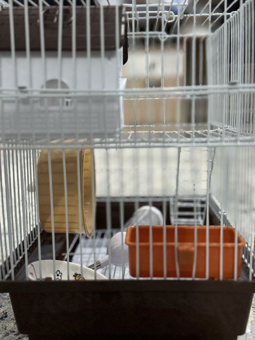 Клетка для хомяков