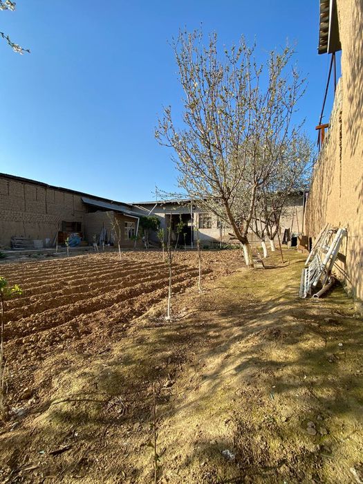 uchaska sotiladi 8 sotx