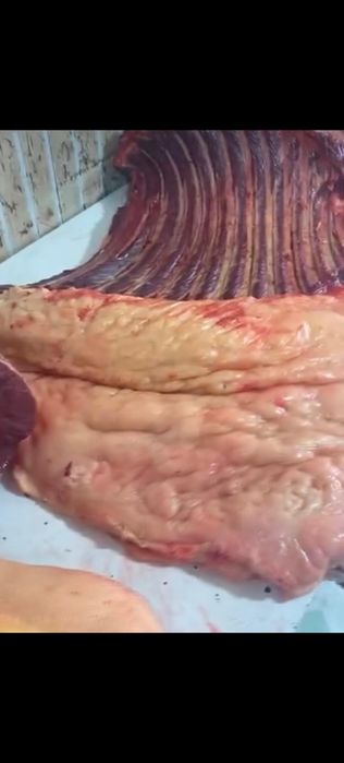 Ет,қазы, тойға ет