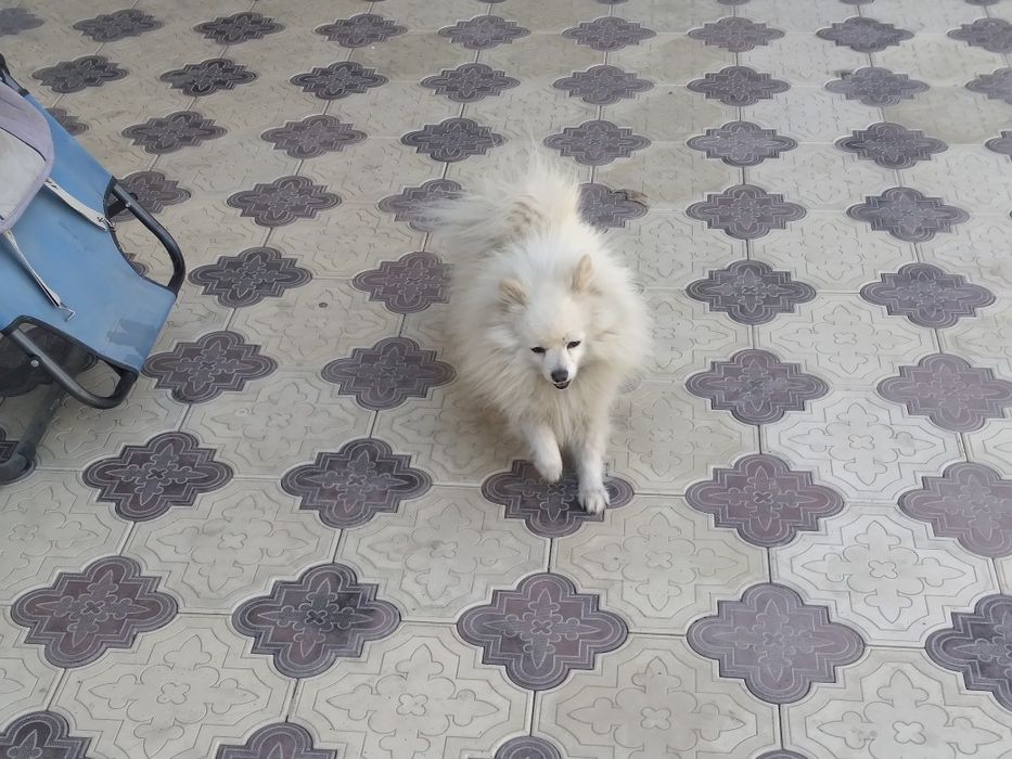 Әйеліммен жыныстық қатынас (MMF)