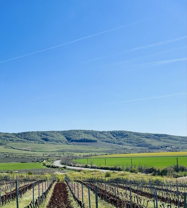 Șiria - teren extravilan de vanzare