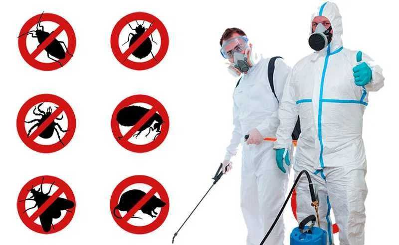 Дезинфекция по борьбе насекомыми