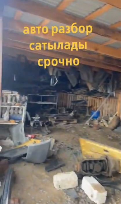 Обмен на баран овцы