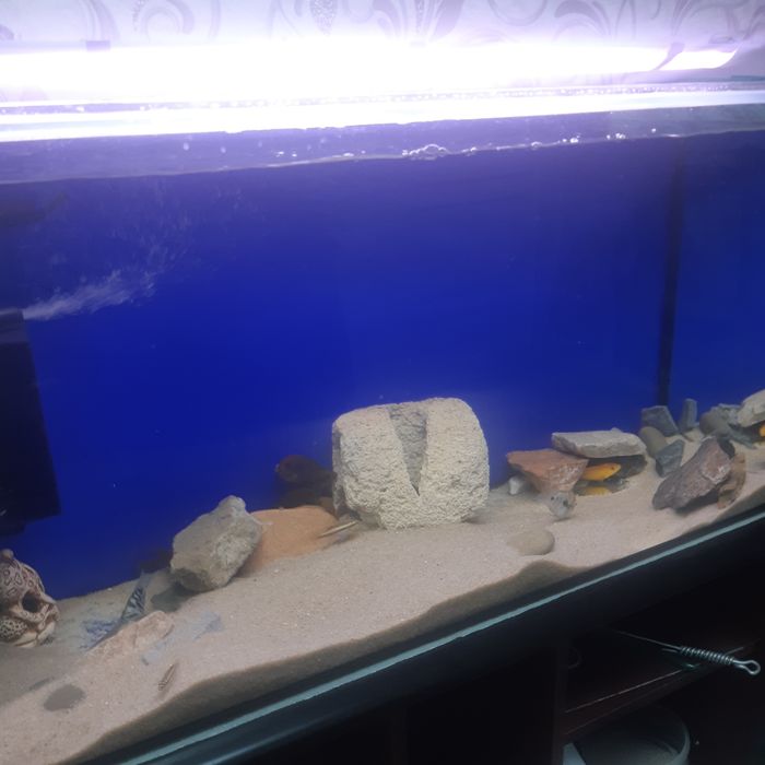 Светильник для аквариума травника 60w