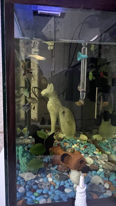 Продам аквариум 80 л