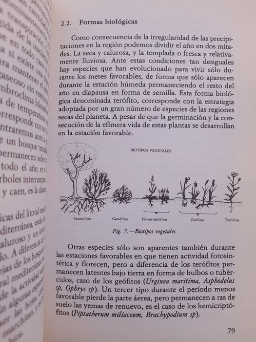 El litoral mediterráneo español: Introducción a la ecología de sus biocenosis terrestres (tomo I)