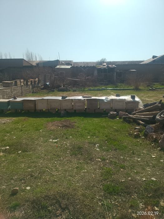 Qaxramon mahallasida yer uchastka  bogʻi bilan sotiladi.