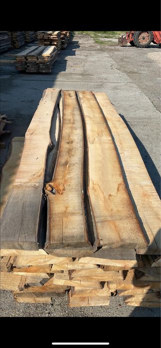 cherestea tivita/netivita