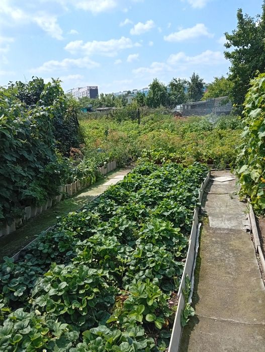 Продам дом в старой части Ермака