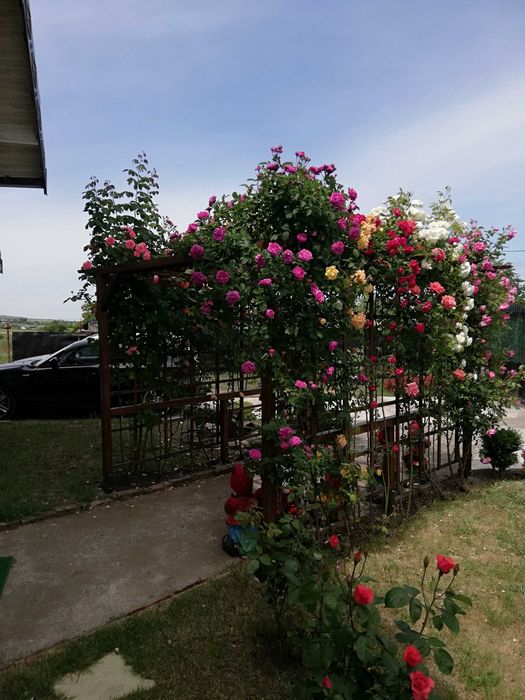 Urgent .Proprietar, parter la casa cu etaj, Mogosesti - Iasi, 10 km