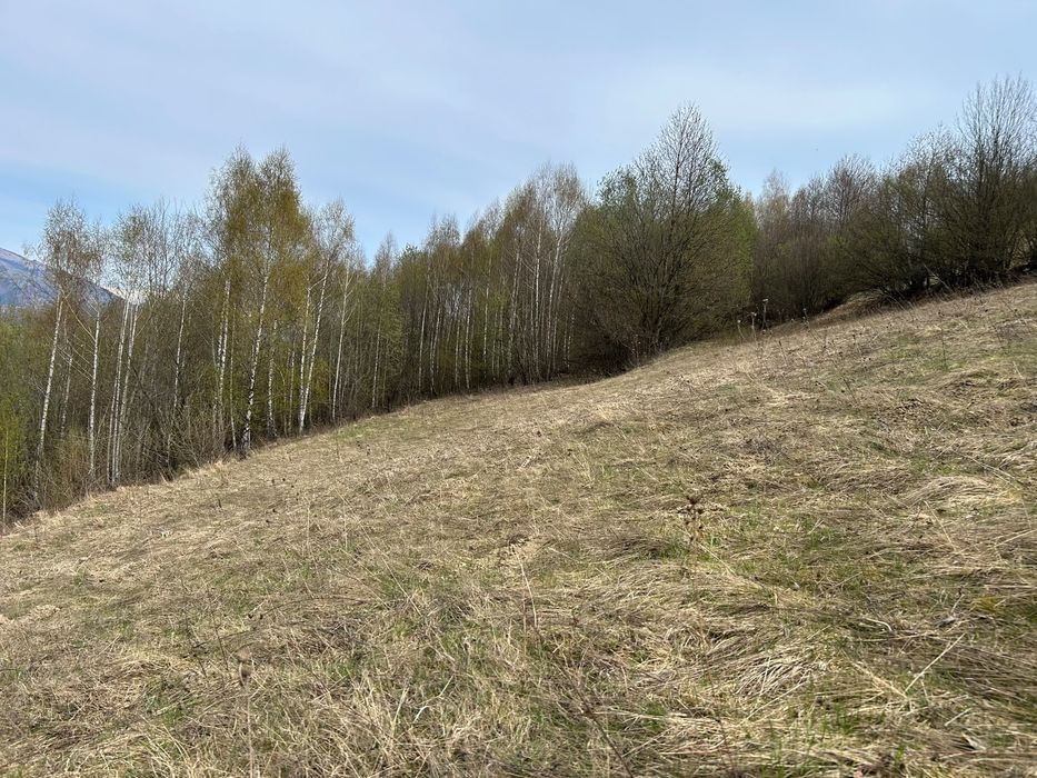 Teren extravilan Delusel 1.18 ha