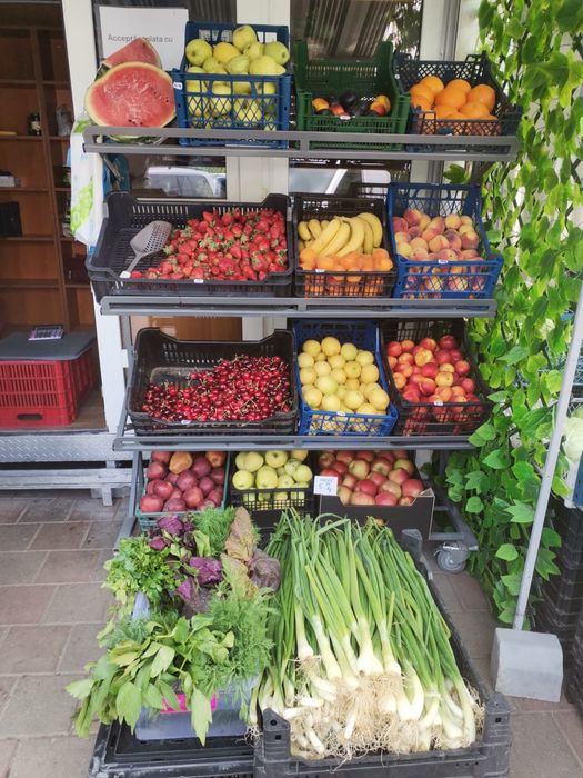 Vănd toneta cu vad foarte bun in Dispecer