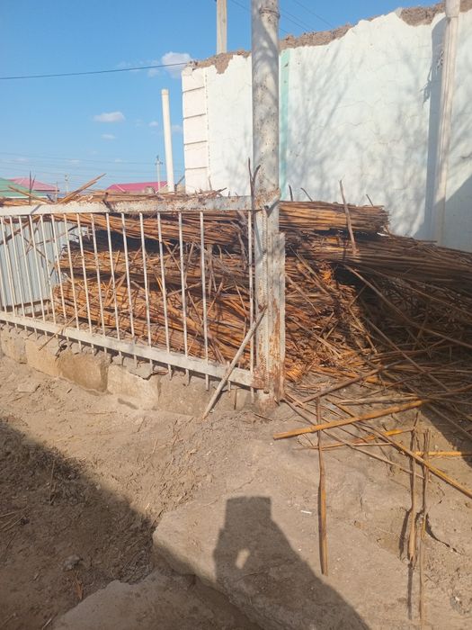 Бу камыш,темiр есiк,