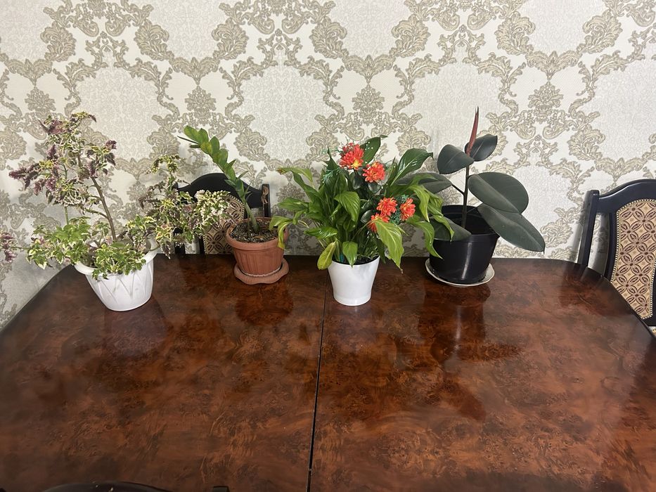 Стол гостинный  продам