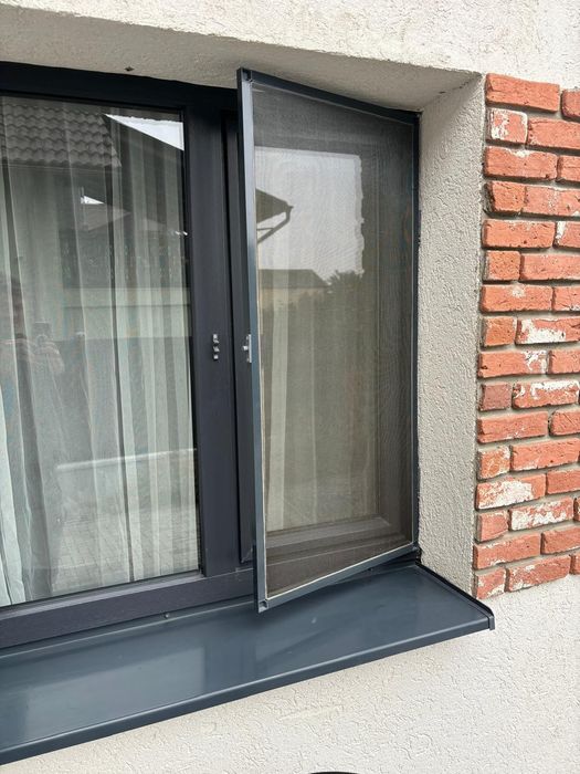 Plase de insecte la comanda