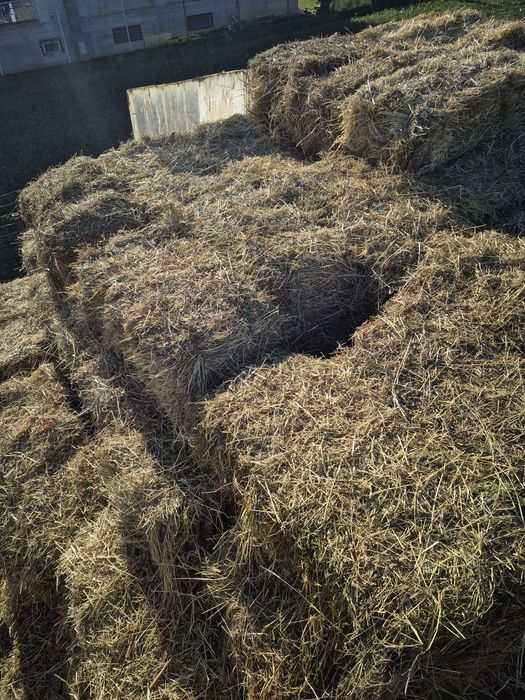 Vand baloti prima coasa amestec cu lucerna