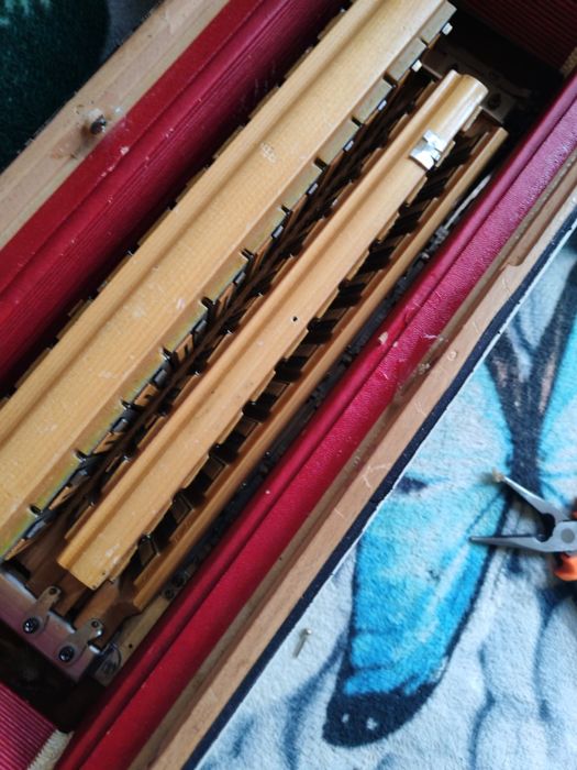 Vând acordeon Eccesior