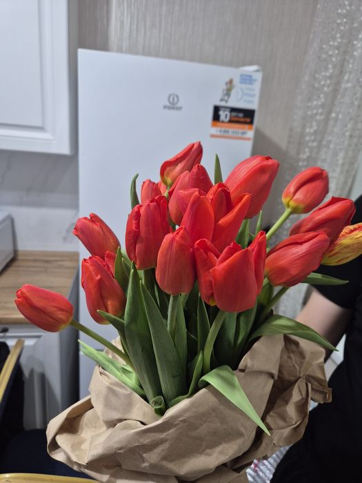 Тюльпаны свежие местные