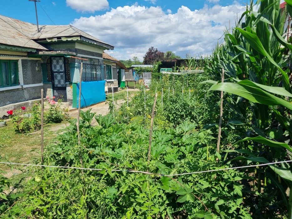 Casă de vânzare (URGENT)