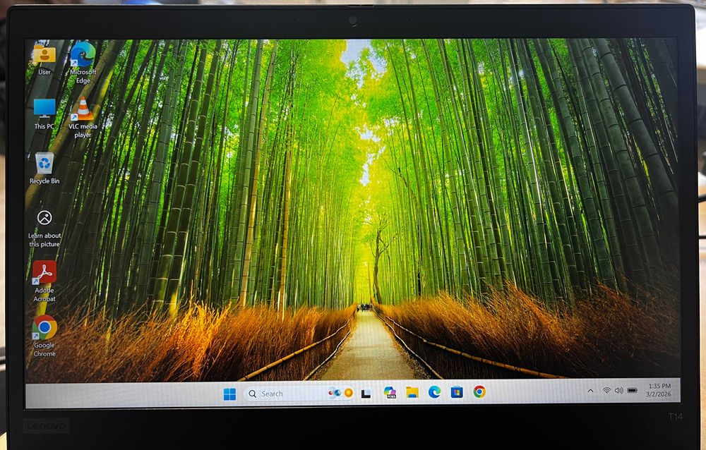 Lenovo ThinkPad T14 gen 1 (Intel i5, 16 GB RAM DDR4, 256 GB SSD)