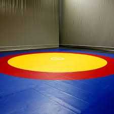 Борцовский ковер 6х6 м