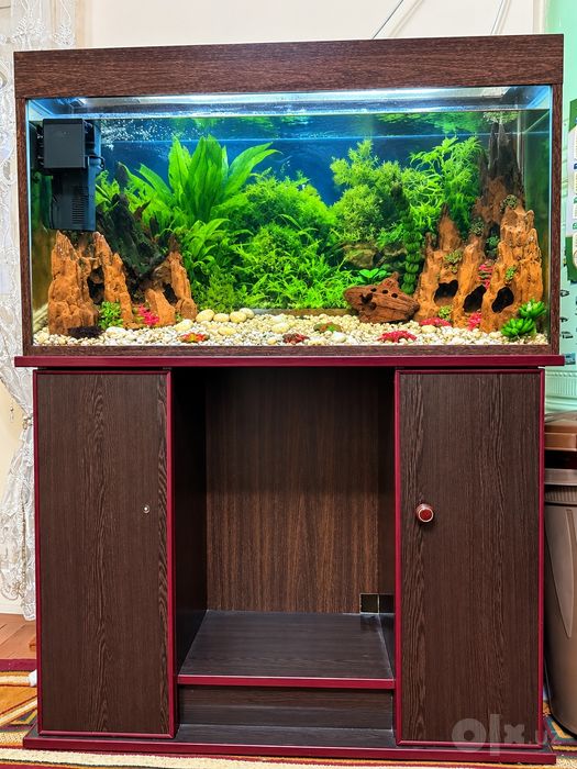 Akvarium sotiladi | Продаются аквариум 250L