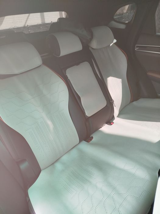 Byd chempion chehol nakidka