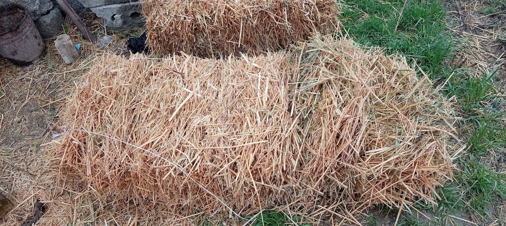 Somon press mol va qoʻylarga