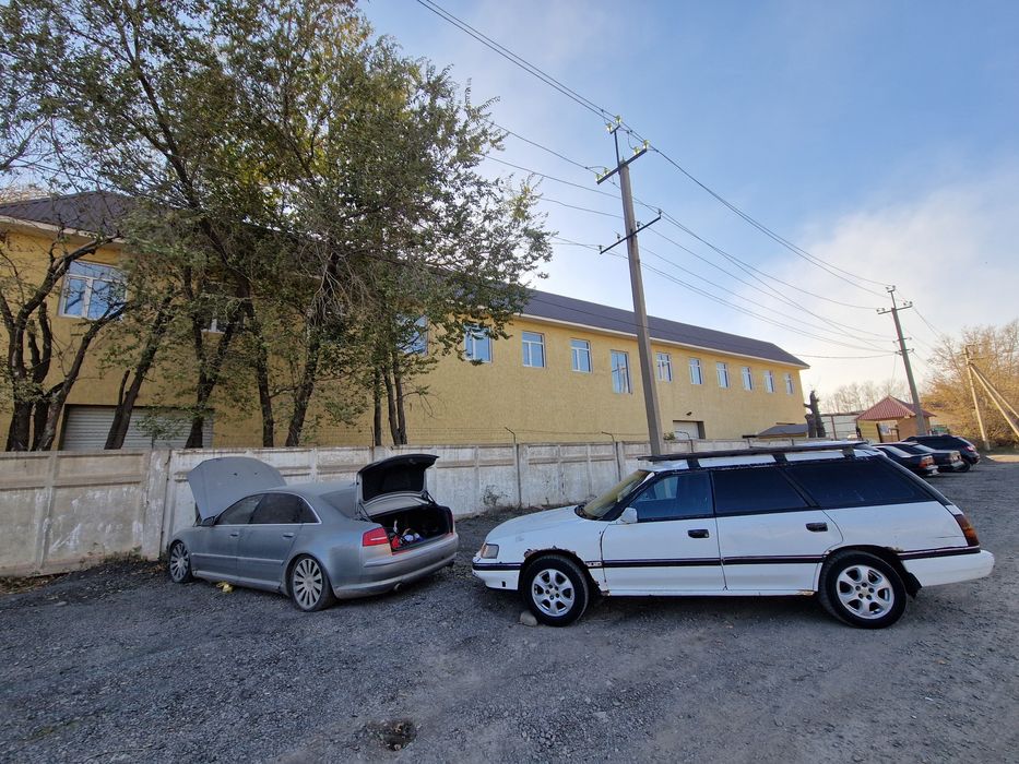 Продам живого субарика