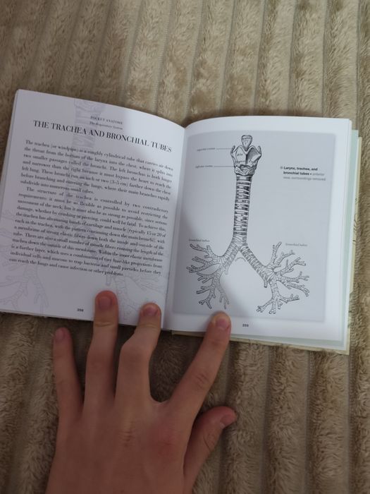 Atlasuri de anatomie