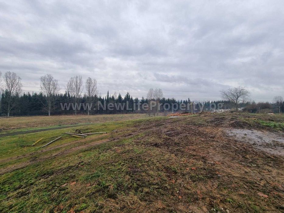 Продава се Парцел в с. Тънково, Област Бургас - 1999 кв.м за 13 €/кв.м - Снимка #4