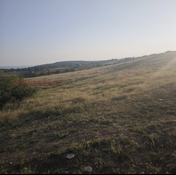 Парцел УПИ с.Кошарица