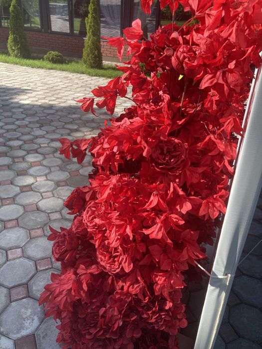 Продам Цветочный куст