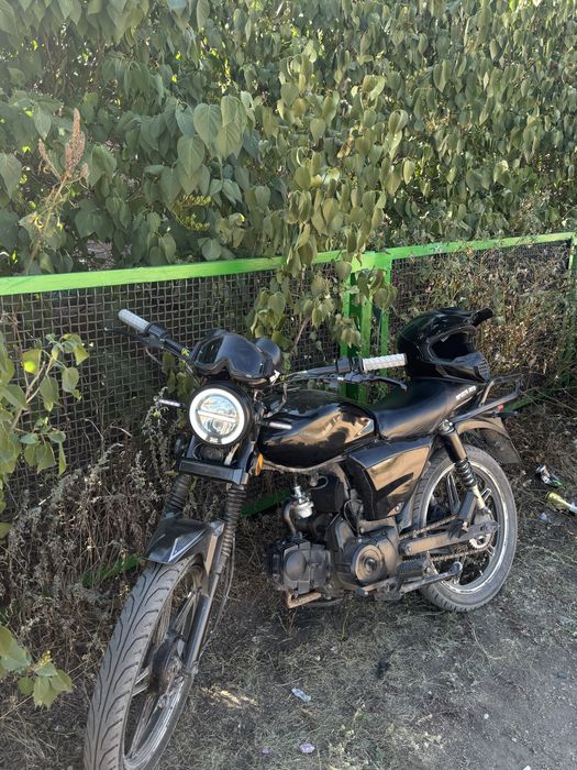 Alpha rx 100.