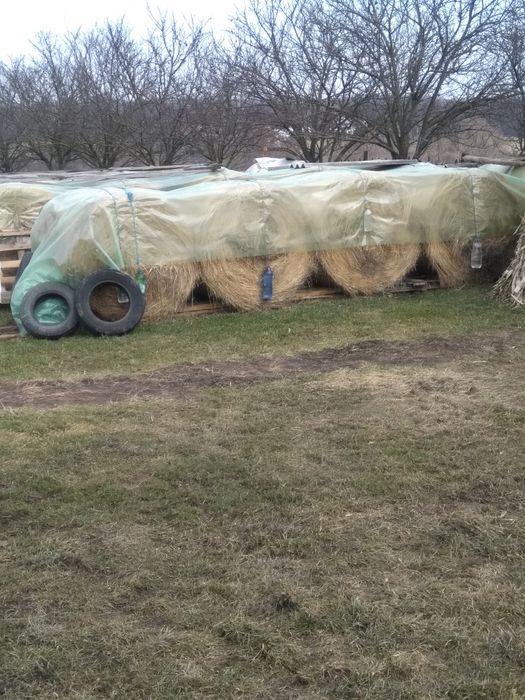 Baloți de fân din 2025