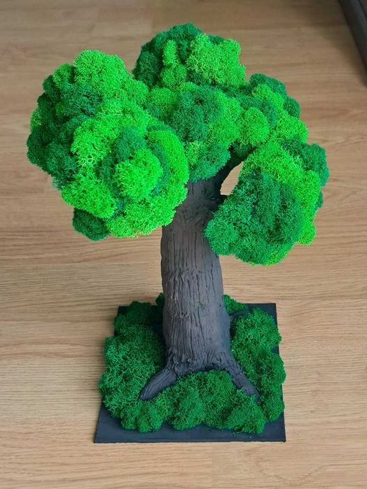 Decorațiuni cu licheni