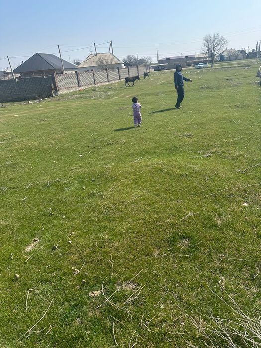 Жер шубарсудан сатылады