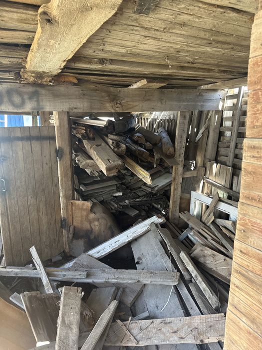 Ағаштар тегін беріледі (1камаз шыгады)