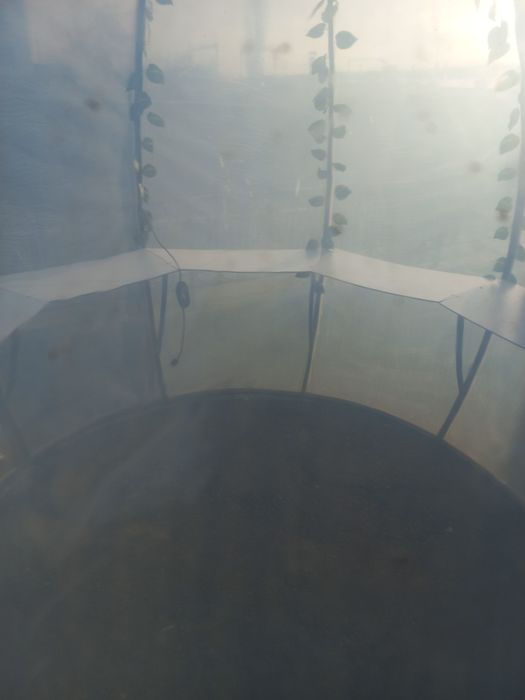 Tayyor visetka somsa xona