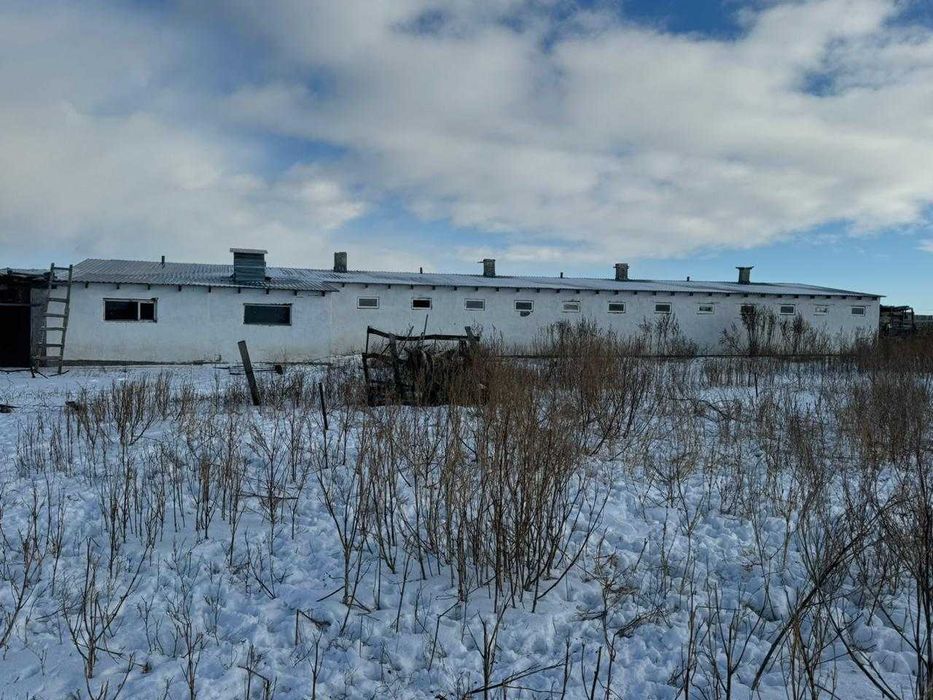 Сельское хозяйство