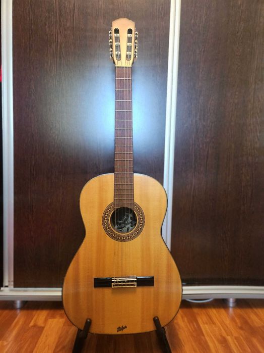 Chitara vintage Hofner deosebita