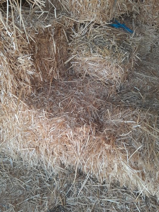 Baloț de lucernă și de paie