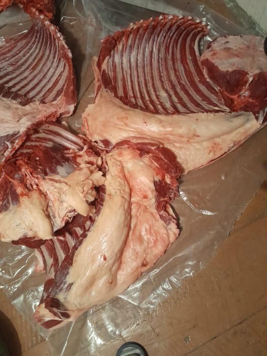 Продам мясо конины