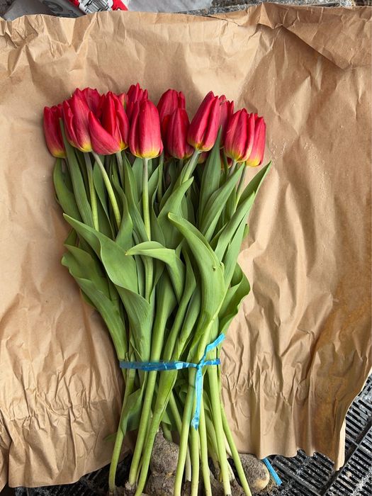 Букет тюльпаны королевские