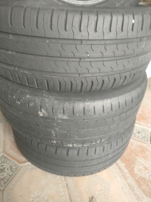 Болон болоны шины