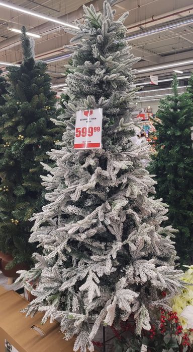 Brad nins,2.10m cu toate accesoriile