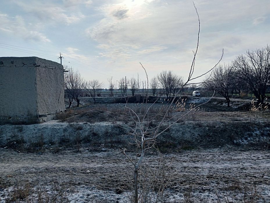 25 sotix Shofirkon Sug'utda