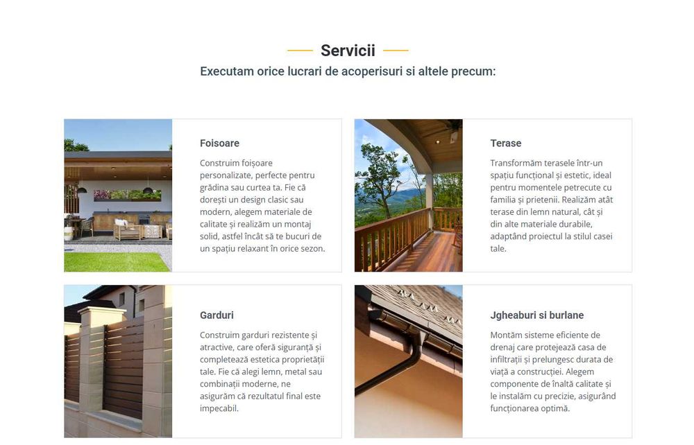 Website profesional, magazin online, platforma web