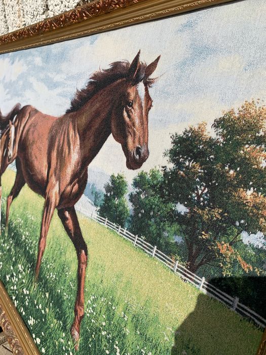 Otlarni rasmi uyda turibdi holati juda yaxshi