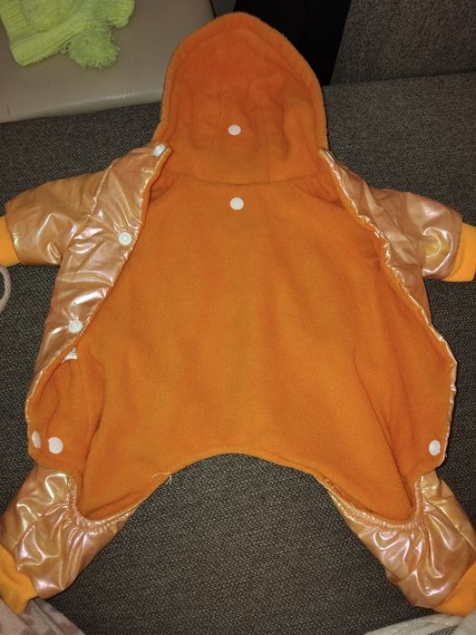 Одежда для маленькой собачки